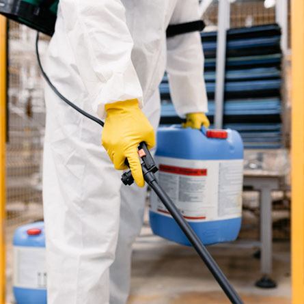 Pest Control And Sanitation In Noida, Ghaziabad